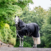 Amigo Turnout 1200D Plus 50g Negro/Gris/Plata Amigo Turnout 1200D Plus 50g Negro/Gris/Plata