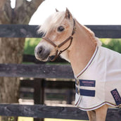 Amigo Bug Rug Plus Petite Plata/Verde/Azul/Rosa Amigo Bug Rug Plus Petite Plata/Verde/Azul/Rosa