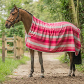 Velder Horsewear Premium Cooler VelvetTouch Dusty Rose Velder Horsewear Premium Cooler VelvetTouch Dusty Rose