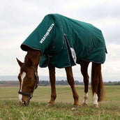 WeatherBeeta ComFiTec Plus Dynamic Turnout Detach-A-Neck 220g Forest Green/Navy WeatherBeeta ComFiTec Plus Dynamic Turnout Detach-A-Neck 220g Forest Green/Navy