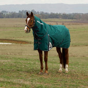 WeatherBeeta ComFiTec Plus Dynamic Turnout Detach-A-Neck 0g Forest Green/Navy WeatherBeeta ComFiTec Plus Dynamic Turnout Detach-A-Neck 0g Forest Green/Navy