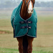 WeatherBeeta ComFiTec Plus Dynamic Turnout High Neck 220g Forest Green/Navy WeatherBeeta ComFiTec Plus Dynamic Turnout High Neck 220g Forest Green/Navy