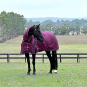 WeatherBeeta ComFiTec Essential Turnout Combo 360g Burdeos/Azul Marino WeatherBeeta ComFiTec Essential Turnout Combo 360g Burdeos/Azul Marino