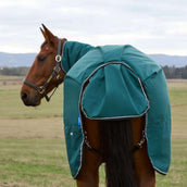 WeatherBeeta ComFiTec Classic Turnout Combo 360g Forest Green/Black WeatherBeeta ComFiTec Classic Turnout Combo 360g Forest Green/Black