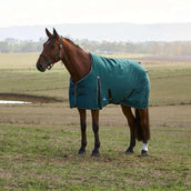 WeatherBeeta ComFiTec Classic Turnout 220g Forest Green/Black WeatherBeeta ComFiTec Classic Turnout 220g Forest Green/Black