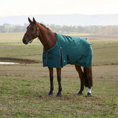 WeatherBeeta ComFiTec Classic Turnout 220g Forest Green/Black WeatherBeeta ComFiTec Classic Turnout 220g Forest Green/Black