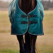 WeatherBeeta ComFiTec Classic Turnout 220g Forest Green/Black WeatherBeeta ComFiTec Classic Turnout 220g Forest Green/Black