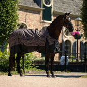 HB Alfombra de Exterior Leopard 0g Leopardo HB Alfombra de Exterior Leopard 0g Leopardo