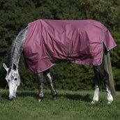 Bucas Freedom Turnout 300g Frambuesa Bucas Freedom Turnout 300g Frambuesa