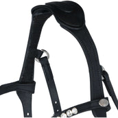 Kavalkade Brida Caliano Via Negro/Plata Kavalkade Brida Caliano Via Negro/Plata