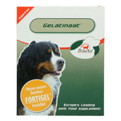 PrimeVal Gelatinate Perro PrimeVal Gelatinate Perro