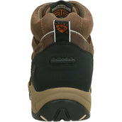 Ariat Terrain Shoe H2O Zip Ladies Distressed Brown Ariat Terrain Shoe H2O Zip Ladies Distressed Brown