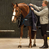 Horseware Liner 300g Navy Horseware Liner 300g Navy