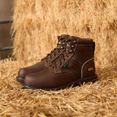 Ariat Zapatillas de exterior Groundbreaker Lace Steel Toe Waterproof Hombres Marron oscuro Ariat Zapatillas de exterior Groundbreaker Lace Steel Toe Waterproof Hombres Marron oscuro