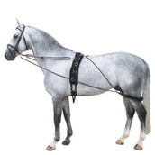 Premiere Riendas para Trabajo en Redondo Tipo Pessoa Negro/Borgoña Premiere Riendas para Trabajo en Redondo Tipo Pessoa Negro/Borgoña