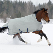 Bucas Power Turnout Light Plata Bucas Power Turnout Light Plata