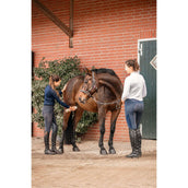 Bense & Eicke Desodorante para Caballos Bense & Eicke Desodorante para Caballos