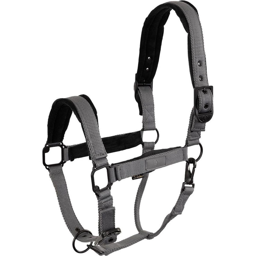 BR Cabezada Flint Velvet Quiet Shade BR Cabezada Flint Velvet Quiet Shade