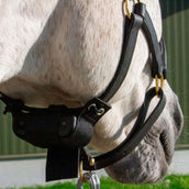 Birth Alarm Alerta de nacimiento Birth Alarm Alerta de nacimiento