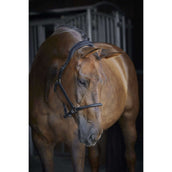 Catago Cabezada de Cuero Negro Catago Cabezada de Cuero Negro