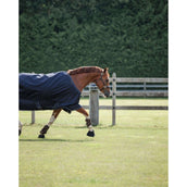 Dominick Alfombra de Exterior Turnout Lite 0g 0g Marino/Blanco Dominick Alfombra de Exterior Turnout Lite 0g 0g Marino/Blanco