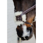 Dyon Brida Mexicana Figure 8 Marron Dyon Brida Mexicana Figure 8 Marron