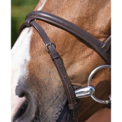 Riding World Brida con Cabezada Combinada Habana Riding World Brida con Cabezada Combinada Habana