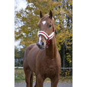 Norton Cabezada Confort Rojo Norton Cabezada Confort Rojo