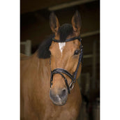 Norton Brida Pro Rock Habana Norton Brida Pro Rock Habana