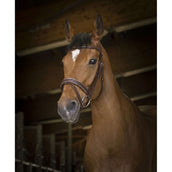 Norton Brida Pro Rock Habana Norton Brida Pro Rock Habana