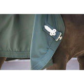 Paddock Alfombra Present Verde Paddock Alfombra Present Verde