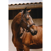 EQUITHÈME Cabezada Jacquard Marron EQUITHÈME Cabezada Jacquard Marron