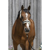 Riding World Cabezada Synthetic Fur Negro Riding World Cabezada Synthetic Fur Negro