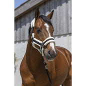 Norton Cabezada Cosy Negro Norton Cabezada Cosy Negro