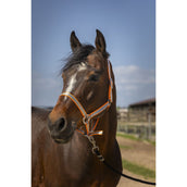 Norton Cabezada Soft Nylon Naranja Norton Cabezada Soft Nylon Naranja