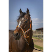 Norton Cabezada Soft Nylon Naranja Norton Cabezada Soft Nylon Naranja