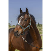 Norton Cabezada Grooming Verde Oscuro Norton Cabezada Grooming Verde Oscuro