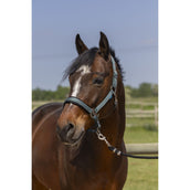 Norton Cabezada 4Lines Verde Oscuro Norton Cabezada 4Lines Verde Oscuro