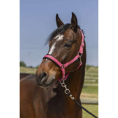 Norton Cabestro 4Lines Rosa Viejo Norton Cabestro 4Lines Rosa Viejo