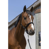 Norton Cabezada Satine Negro Norton Cabezada Satine Negro