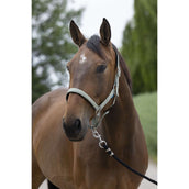 Norton Cabezada Satine Oliva Norton Cabezada Satine Oliva