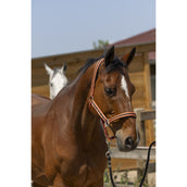 Norton Cabezada Satine Coral/Negro Norton Cabezada Satine Coral/Negro