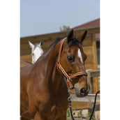 Norton Cabezada Satine Coral/Negro Norton Cabezada Satine Coral/Negro