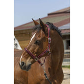 Norton Cabezada Satine Burdeos/Negro Norton Cabezada Satine Burdeos/Negro