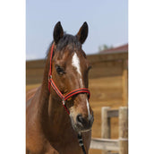 Norton Cabezada Satine Rojo/Negro Norton Cabezada Satine Rojo/Negro