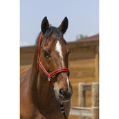 Norton Cabezada Satine Rojo/Negro Norton Cabezada Satine Rojo/Negro