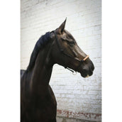 Pénélope Cabezada de Cuerda Western Pénélope Cabezada de Cuerda Western