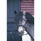 Eden by Pénélope Brida Eden Negro Eden by Pénélope Brida Eden Negro