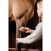 Grooming Deluxe by Kentucky Cepillo Grooming Deluxe by Kentucky Cepillo