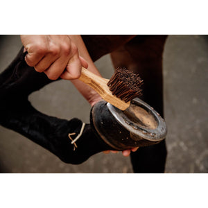 Grooming Deluxe by Kentucky Limpia Cascos Grooming Deluxe by Kentucky Limpia Cascos